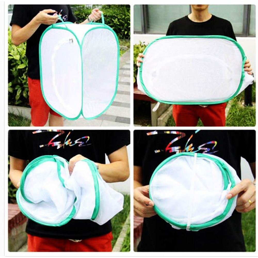 Green Collapsible Insect Cage  - Green Screen Collapsible review and price