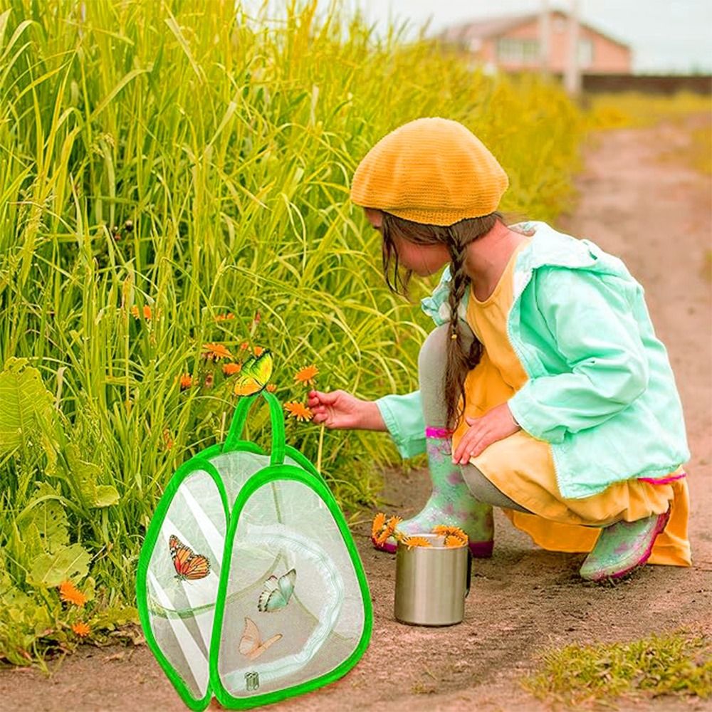 Green Collapsible Insect Cage  - Green Screen Collapsible review and price
