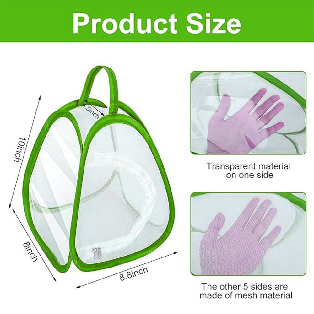 Green Collapsible Insect Cage  - Green Screen Collapsible review and price